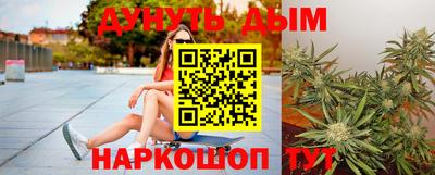 хмурый Кингисепп
