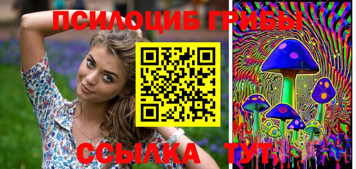 Псилоцибиновые грибы Psilocybine cubensis Кузнецк